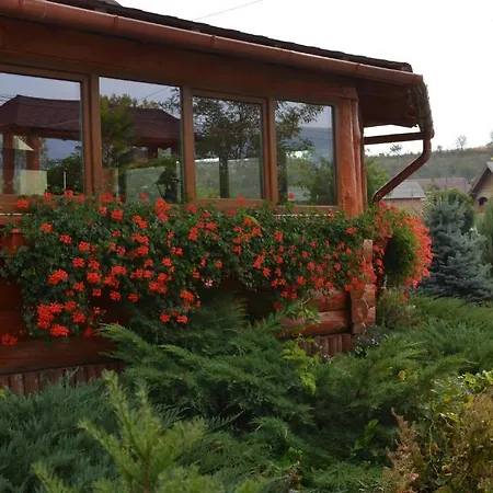 게스트하우스 Casa Moteasca Mihai Viteazu (Cluj)