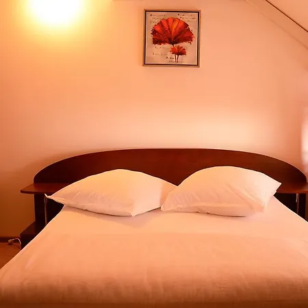 게스트하우스 Casa Moteasca 3*